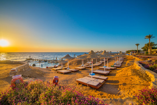 Orange trip is a group trip and there are also private trips.