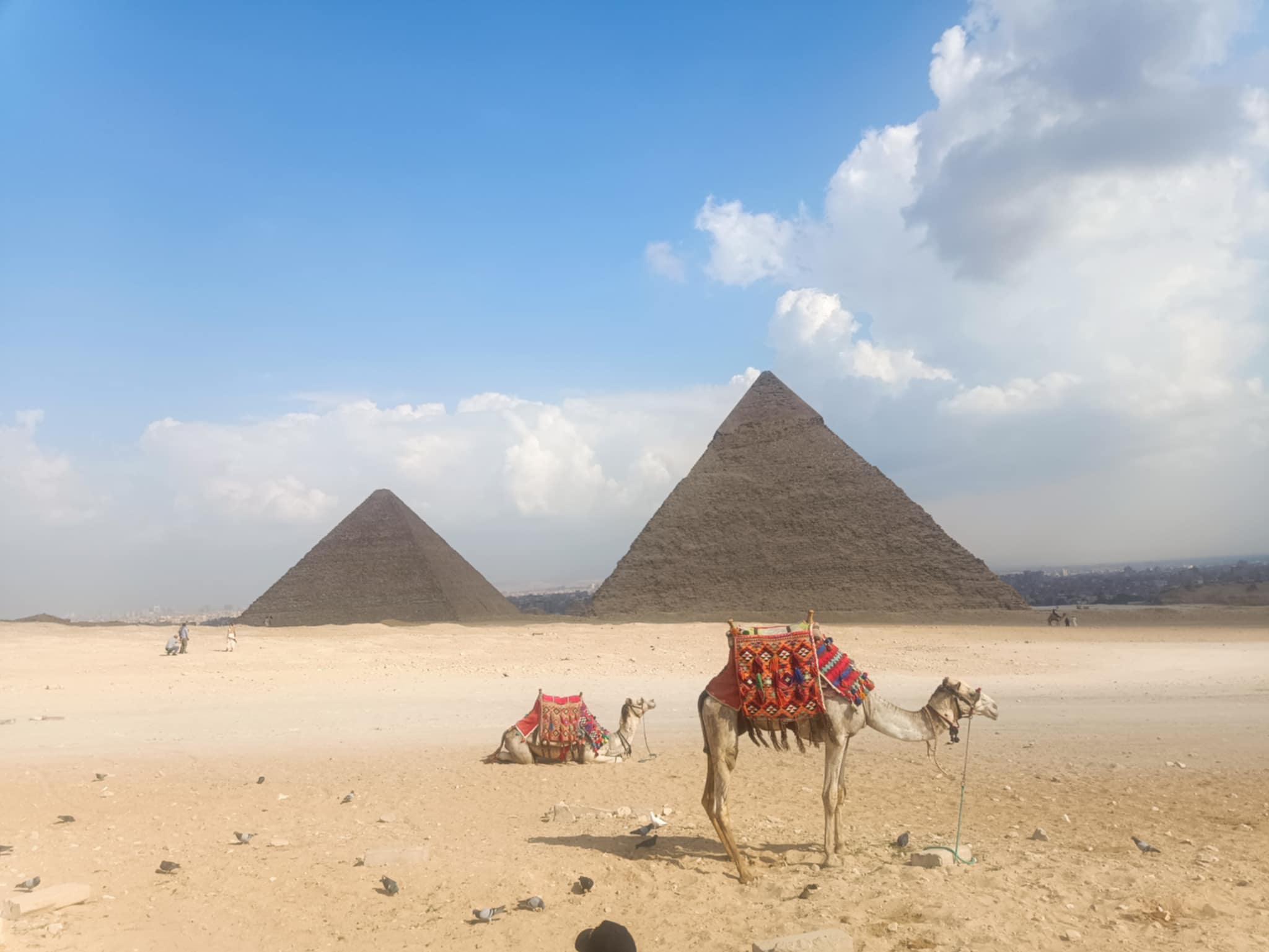 Private trip to the Giza Pyramids